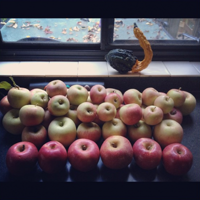 apples