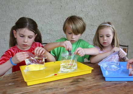 magic-bag-experiment-fig-1-add-food-coloring-to-water-in-a-resealable-plastic-bag-and-seal-it-closed